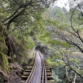 阿里山眠月線