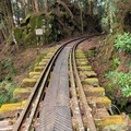 阿里山眠月線