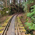 阿里山眠月線