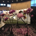 2018世界花卉博覽會在台中