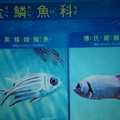 Visiting Yehliu Marine World