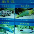 Visiting Yehliu Marine World