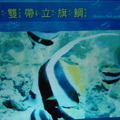 Visiting Yehliu Marine World