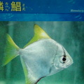 Visiting Yehliu Marine World