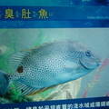 Visiting Yehliu Marine World