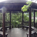參訪坪林茶業博物館