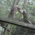 參訪動物園穿山甲園區