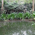 參訪動物園穿山甲園區