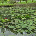 參訪動物園穿山甲園區