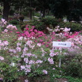 參訪象山大安森林公園風景區