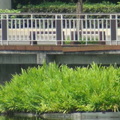 參訪北市大湖公園風景區