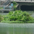 參訪北市大湖公園風景區