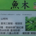 參訪劍南古寺蝴蝶園