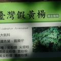 參訪劍南古寺蝴蝶園