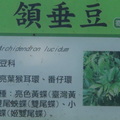 參訪劍南古寺蝴蝶園