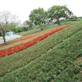 2023.04.09北投貴子坑公園、三層崎公園、復興公園輕鬆行