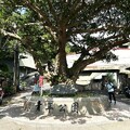 2024.07.21新莊青年公園、牡丹心步道隨意行