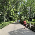 2024.07.21新莊青年公園、牡丹心步道隨意行