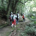 2023.06.04青山瀑布、獅頭山公園、金山老街漫步