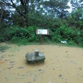 2022.12.04白鹭鷥山親山步道輕鬆行