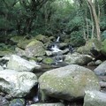 2023.06.04青山瀑布、獅頭山公園、金山老街漫步