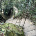 2024.11.24樹林大同山登山步道健行