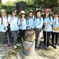 2024.10.06大溝溪親水步道、鯉魚山、圓覺瀑布隨意行