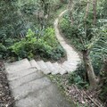 2024.11.24樹林大同山登山步道健行