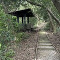 2024.11.24樹林大同山登山步道健行