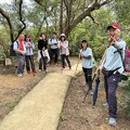 2024.11.24樹林大同山登山步道健行