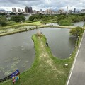 2023.11.12華江河濱公園、人工濕地、新月橋、新莊老街漫遊