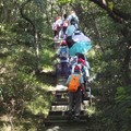 2018.06.17新莊青年公園牡丹山步道輕鬆行