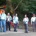 2024.11.24樹林大同山登山步道健行