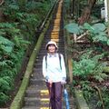 2025.04.20新莊青年公園、牡丹心步道隨意行