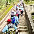 2024.11.24樹林大同山登山步道健行