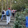 2024.12.29桃園虎頭山、明倫三聖宮輕鬆行