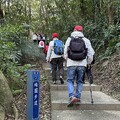 2024.12.29桃園虎頭山、明倫三聖宮輕鬆行