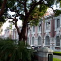 巴洛克建築與樹互襯.