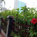 比起建築更愛花