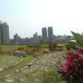 植物園與台北建築