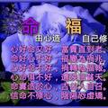 分享驚示語