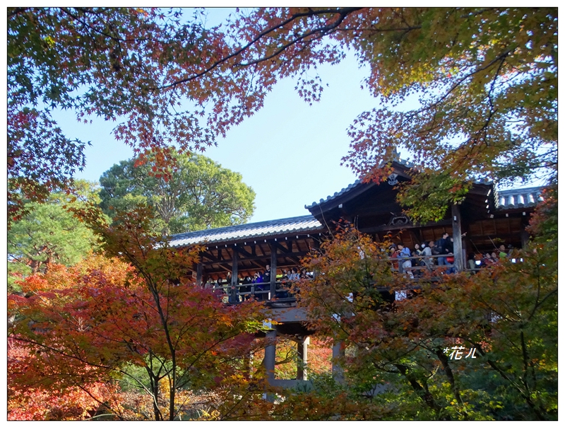京都 東福寺の紅葉 花ㄦ Blog Udn部落格