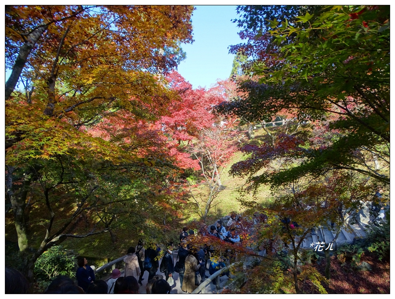 京都 東福寺の紅葉 花ㄦ Blog Udn部落格