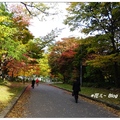 札幌~中島公園の秋