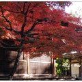 京都~神護寺の紅葉