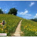 虎山巖，位於彰化縣花壇鄉，因座落位置其山形似臥虎而得名，主祀供奉觀音佛祖。