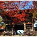 「神護寺」位於日本京都府京都市西北的右京區，又稱高雄神護寺。 

寺院裡供奉主神為藥師如來佛，其創寺開基禪者為和氣清麻呂。


