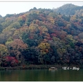 京都~嵐山の屋形船