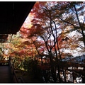 京都~永観堂の紅葉 