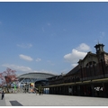 台中火車站の木棉花